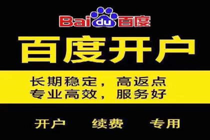 某品牌通过SEM优化实现品牌增长的故事